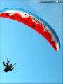 hans-prunaretty_logo-sponsors_09-11-2005.jpg