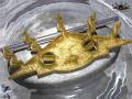 peuple-du-vent_gold.jpg